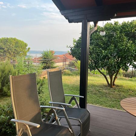 Apartment Orange Tree ปอร์โตรอซ ภายนอก รูปภาพ